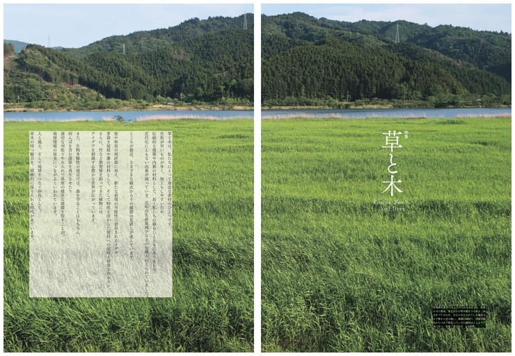 特集 草と木  蘇る北上川のヨシ原。 文・写真／渡辺征治