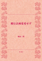 飛行計画変更せず