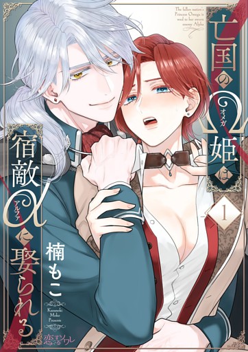 亡国のΩ姫は宿敵αに娶られる