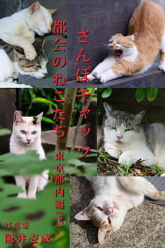 さんぽキャッツ　都会のねこたち　東京都内編(上)