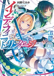 インディフィニット・リンケージ 03.　黒き翼刃と白の刻剣