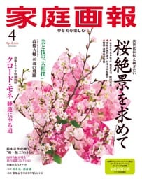 家庭画報 2026年4月号