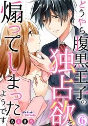 どうやら腹黒王子の独占欲を煽ってしまったようです６