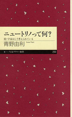 ニュートリノって何？　──続・宇宙はこう考えられている