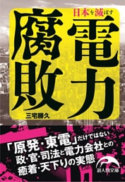 日本を滅ぼす電力腐敗