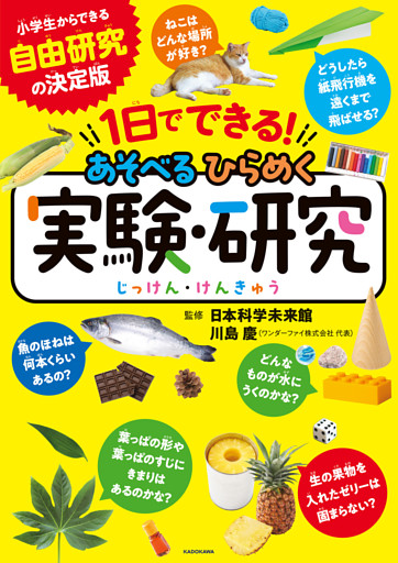 １日でできる！　あそべるひらめく実験・研究
