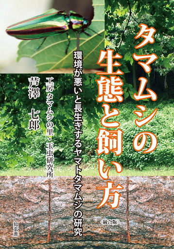 タマムシの生態と飼い方――環境が悪いと長生きするヤマトタマムシの研究
