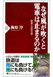 なぜ風が吹くと電車は止まるのか