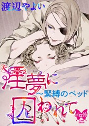 淫夢に囚われて～緊縛のベッド