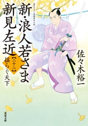 新・浪人若さま 新見左近 ： 22 揺らぐ天下