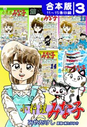 小料理みな子《合本版》(3)　11～15巻収録