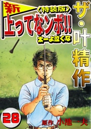 ザ・叶精作　新・上ってなンボ！！太一よ泣くな28<特装版>