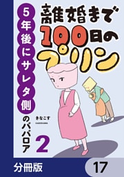 離婚まで100日のプリン【分冊版】　17
