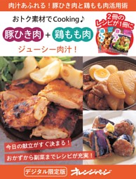 ジューシー肉汁！ 豚ひき肉＋鶏もも肉～おトク素材でCooking♪ 表紙