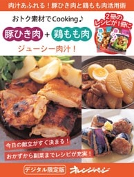 ジューシー肉汁！ 豚ひき肉＋鶏もも肉～おトク素材でCooking♪