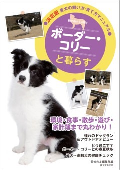 ボーダー・コリーと暮らす