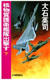 核物質護衛艦隊出撃す（下）