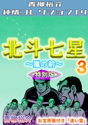 北斗七星3～嵐の前～＜特別版＞・青柳裕介純情コレクション14