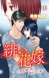 緋い花嫁～契約婚と彼と拗れた一族～ 13