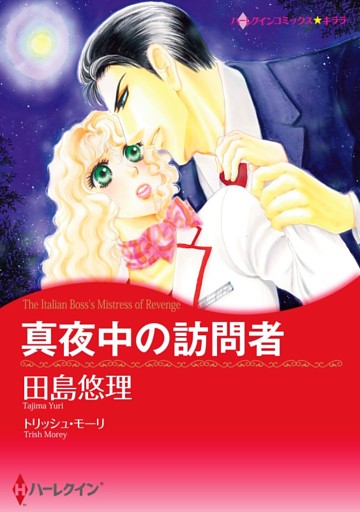 真夜中の訪問者【分冊】