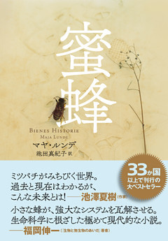 蜜蜂