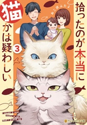 拾ったのが本当に猫かは疑わしい３