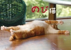 のび猫猫飼いしか知らない猫のばしのコツ。