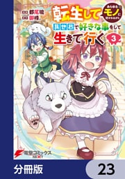 転生してあらゆるモノに好かれながら異世界で好きな事をして生きて行く【分冊版】　23