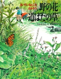 野の花 道ばたの草
