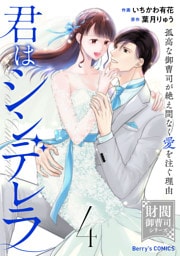 君はシンデレラ～孤高な御曹司が絶え間なく愛を注ぐ理由～【財閥御曹司シリーズ】4巻