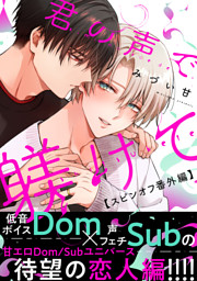 君の声で躾けて【スピンオフ番外編】