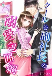 クールな副社長の溺愛包囲網