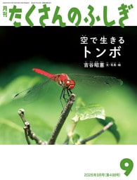 空で生きる　トンボ（たくさんのふしぎ2026年9月号）