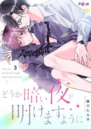 どうか暗い夜が明けますように 3