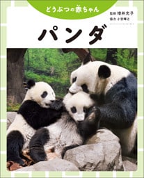 パンダ