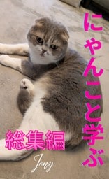 にゃんこと学ぶ総集編（１）