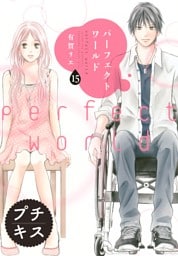 パーフェクトワールド　プチキス（１５）