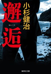 邂逅（鶴見京介弁護士シリーズ）