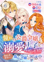 憧れの公爵令嬢と王子に溺愛されています！？　婚約者に裏切られた傷心令嬢は困惑中【合冊版】 6
