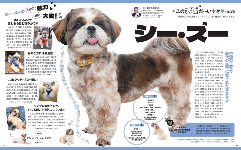 この犬種だ〜いすき vol.26　シー・ズー