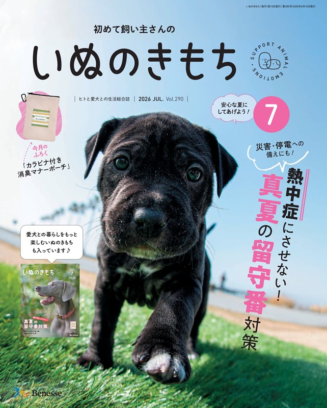 いぬのきもち 2026年7月号