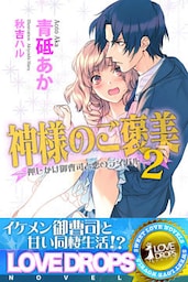 神様のご褒美2 押しかけ御曹司と恋のライバル