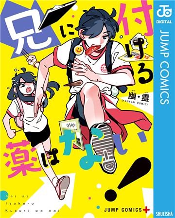 兄に付ける薬はない！