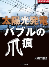 太陽光発電　バブルの爪痕
