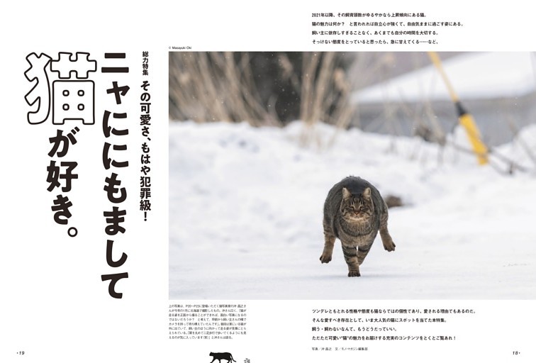【総力特集】その可愛さ、もはや犯罪級！　ニャににもまして猫が好き。