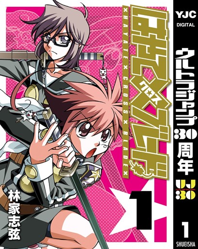 はやて×ブレード