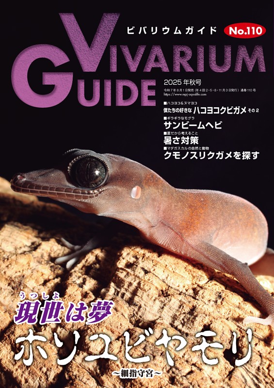 ビバリウムガイド No.110