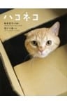 ハコネコ