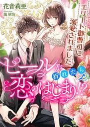 ヒールが折れたら恋のはじまり！？ エリート御曹司に溺愛されました