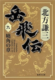 岳飛伝　九　曉角の章
